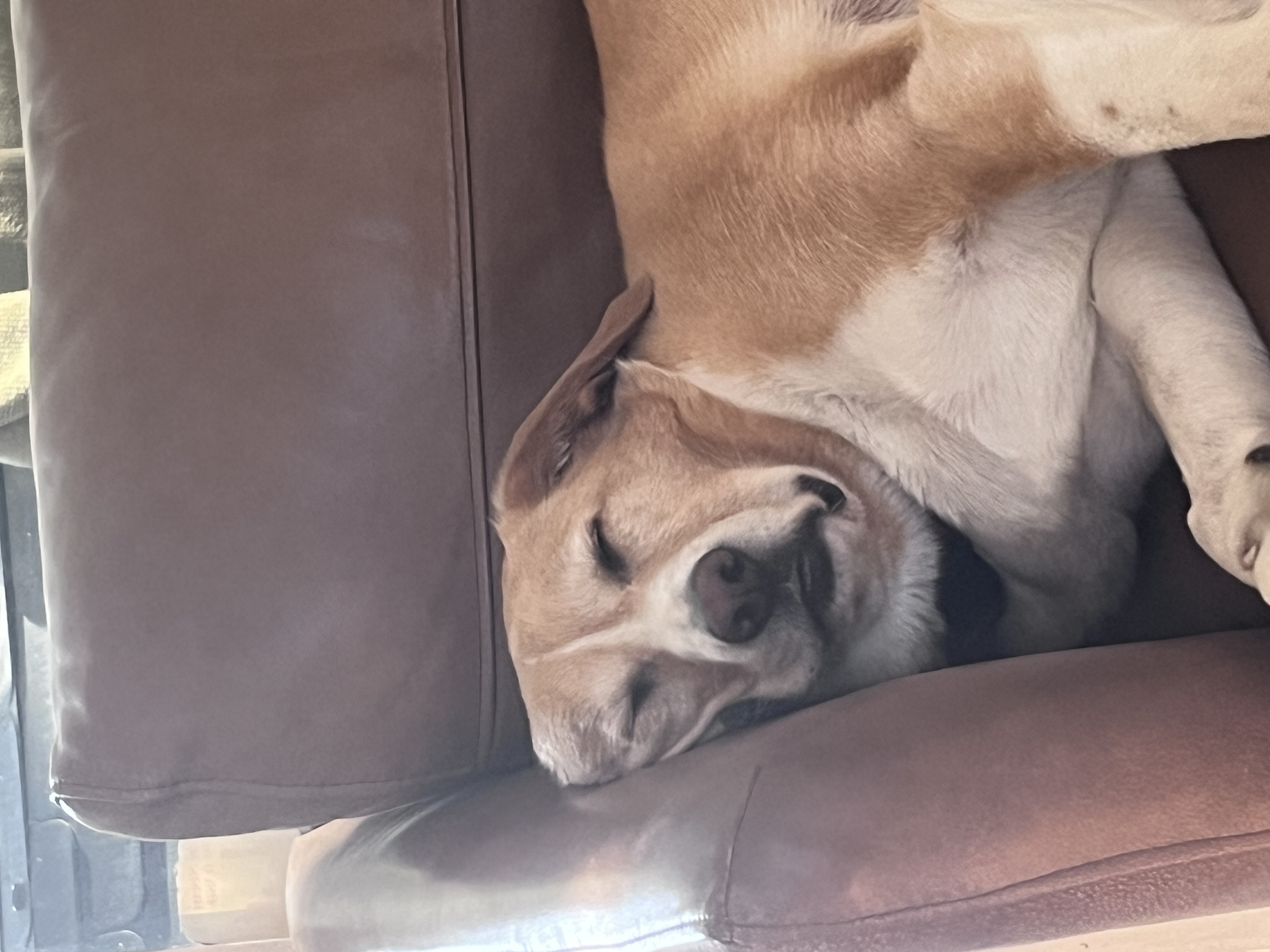 WINNIE