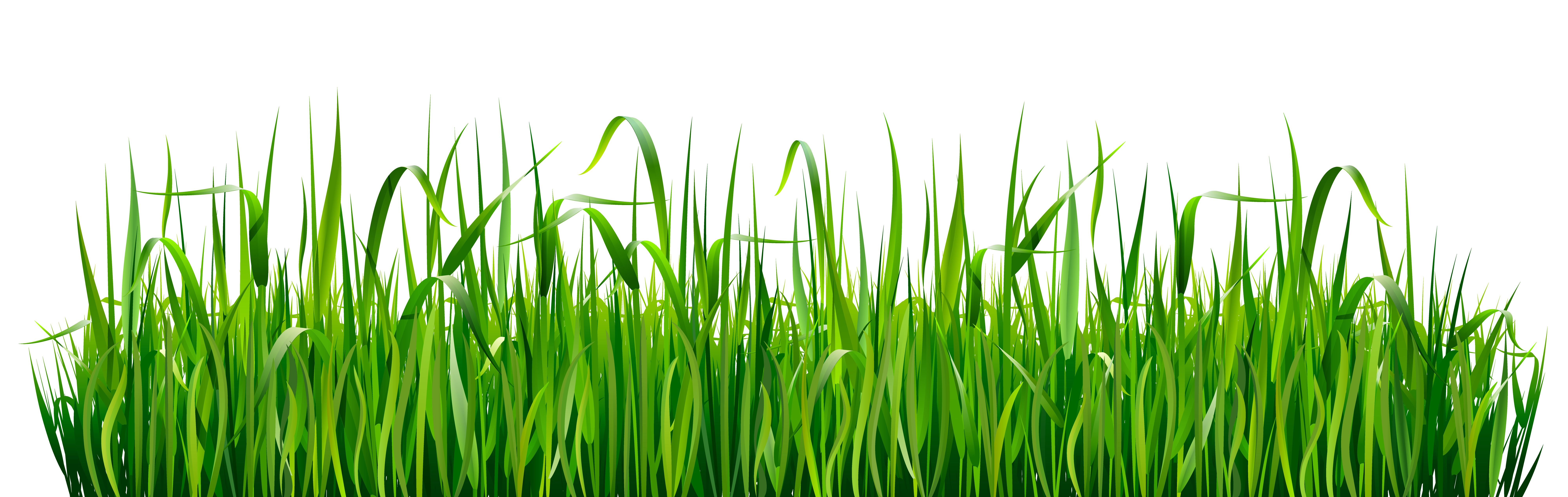 Best Videogame Grass