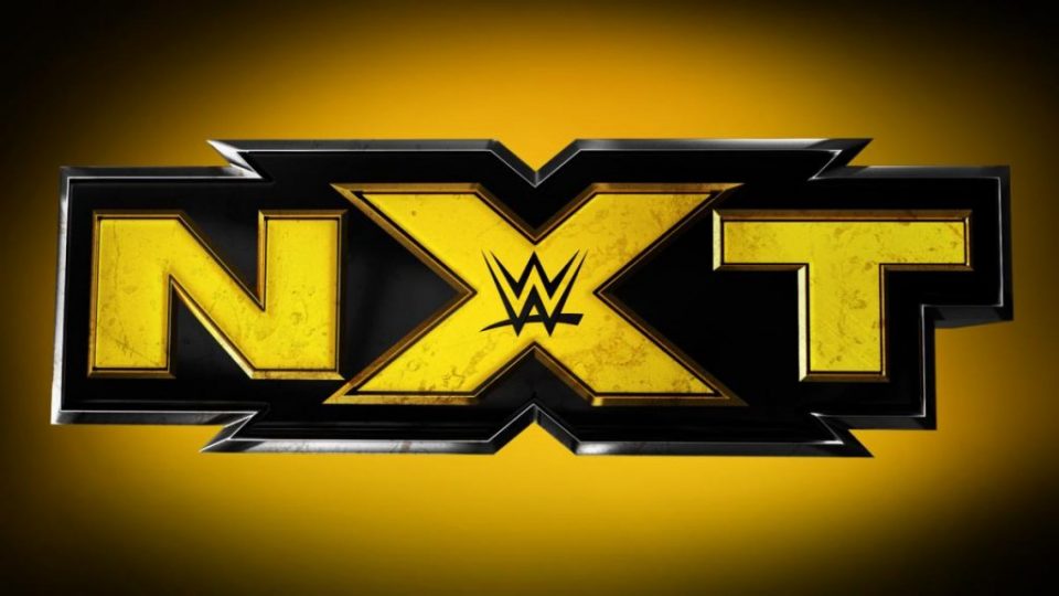 Best WWE NXT Call-Up