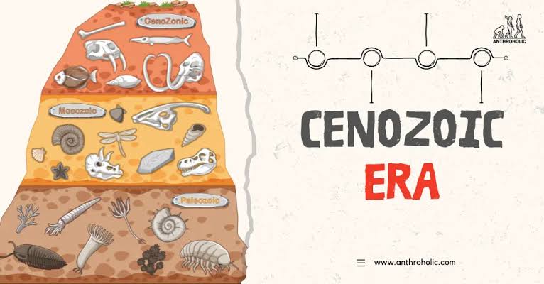 จัดอันดับ สัตว์ยุค Cenozoic For สมาชม YaiMakMaK