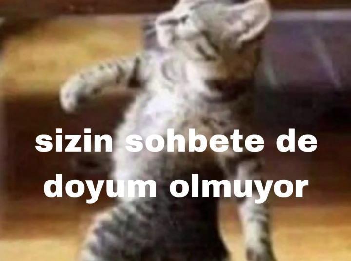 Hangisiyle bir ömür geçirirdin?