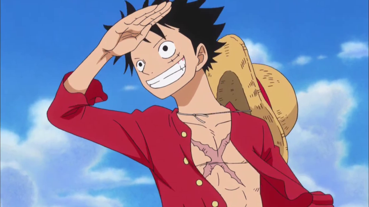 ALL MONKEY D LUFFY OUTFIT One piece