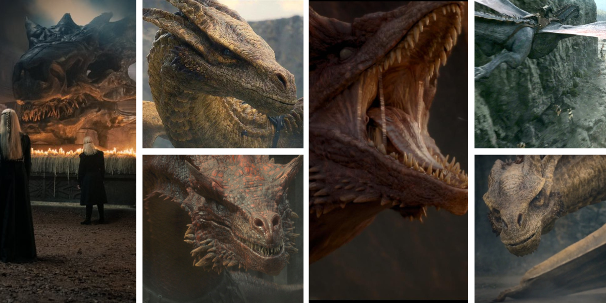 Game of Thrones and House of the Dragon dragons