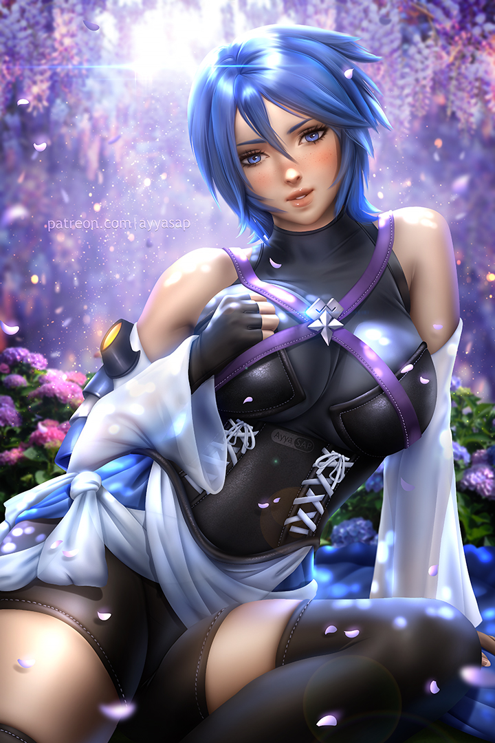 Top Sexy Kingdom Hearts