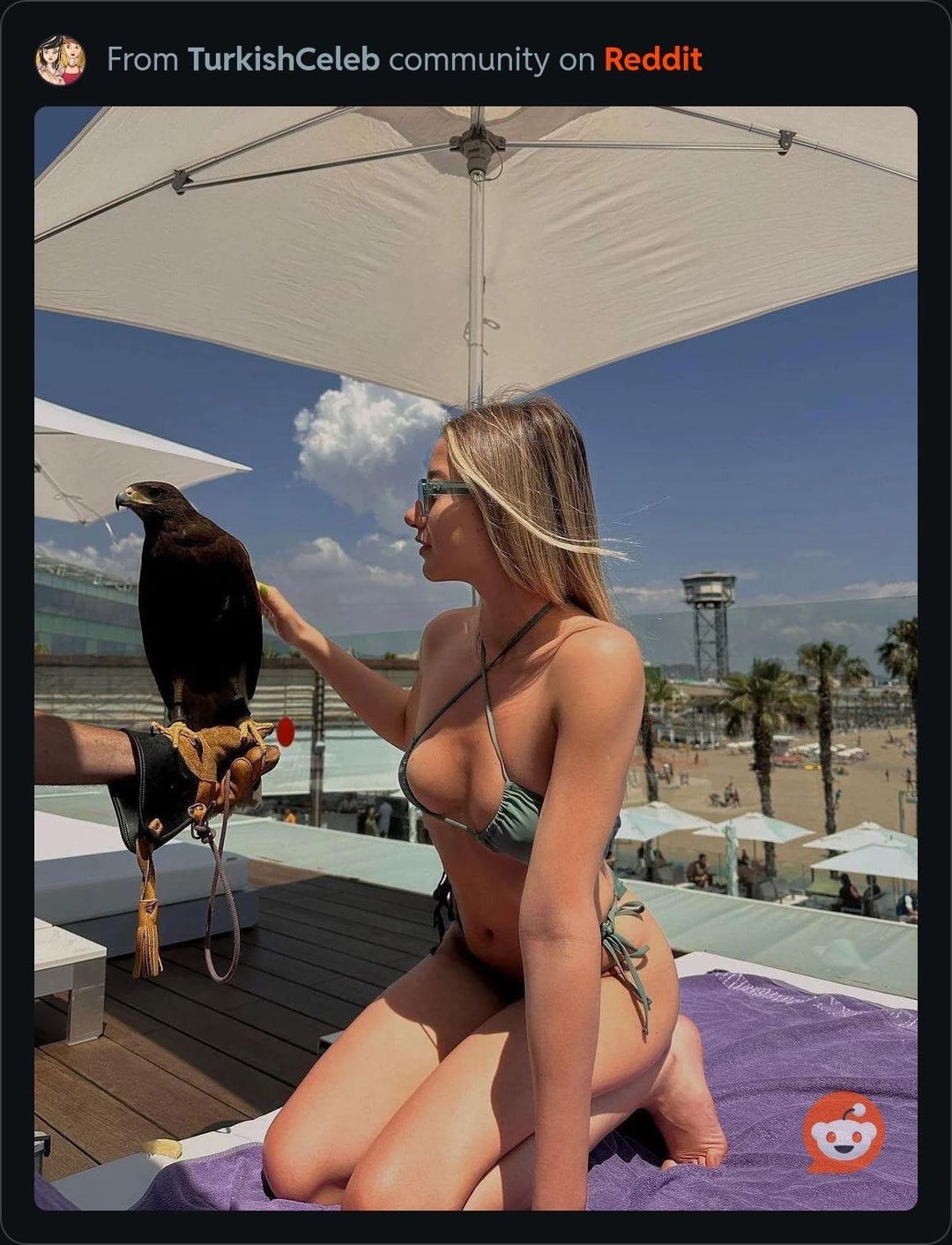 en seksi survivor