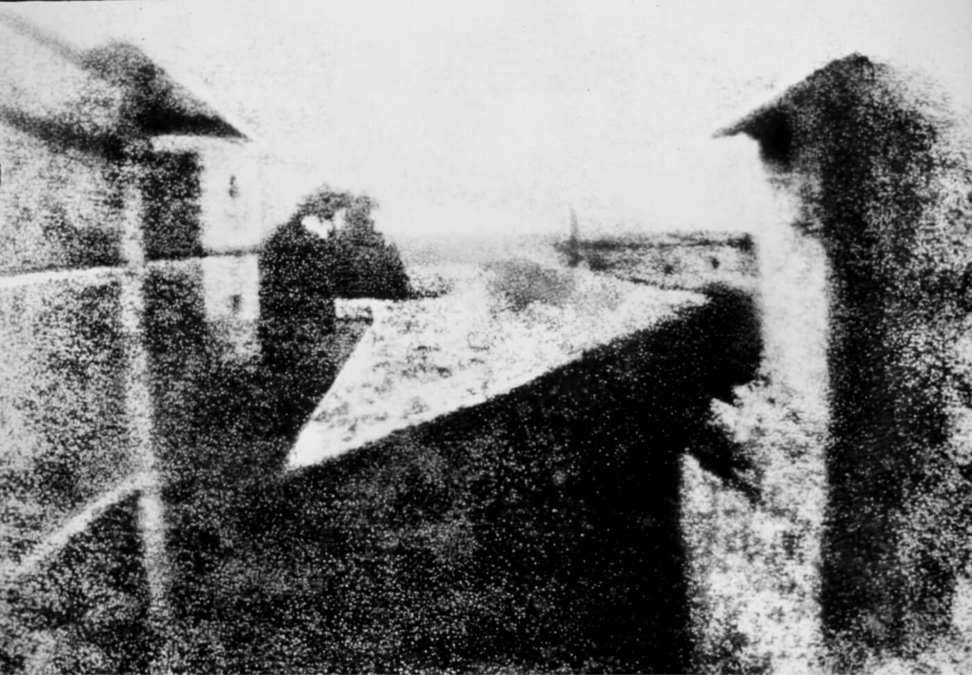 FILMS - 256
