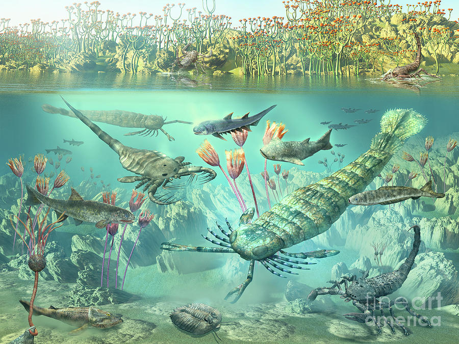 Silurian Animals