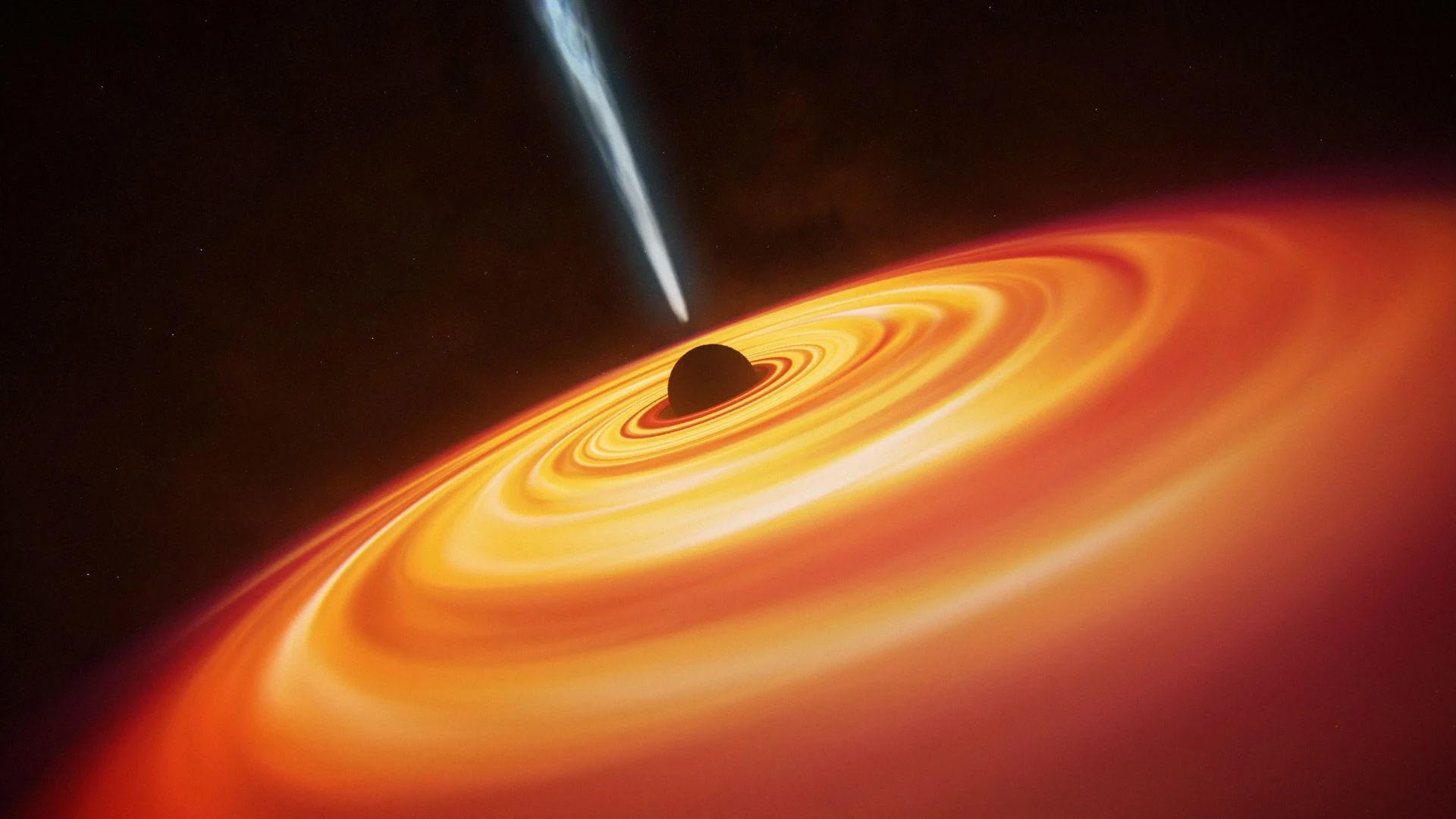 Black Holes