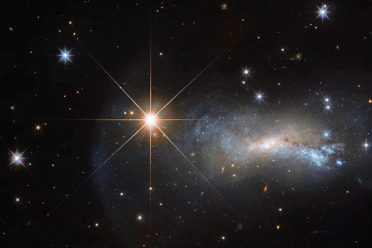 Stars