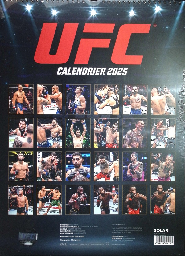 UFC 2025 KNOCKOUTS