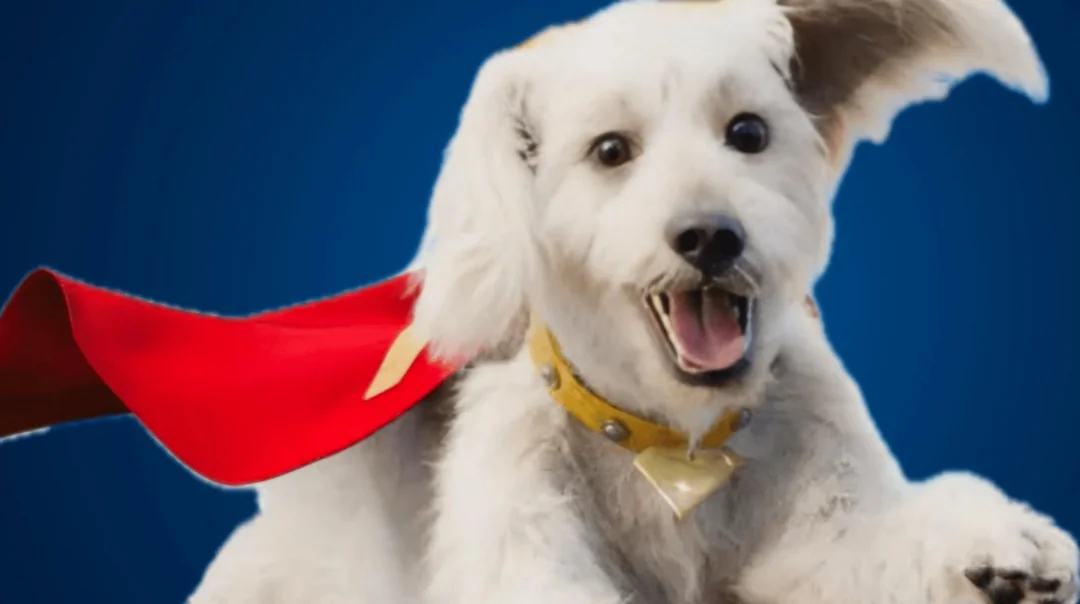 Tournoi Animaux de la Pop Culture