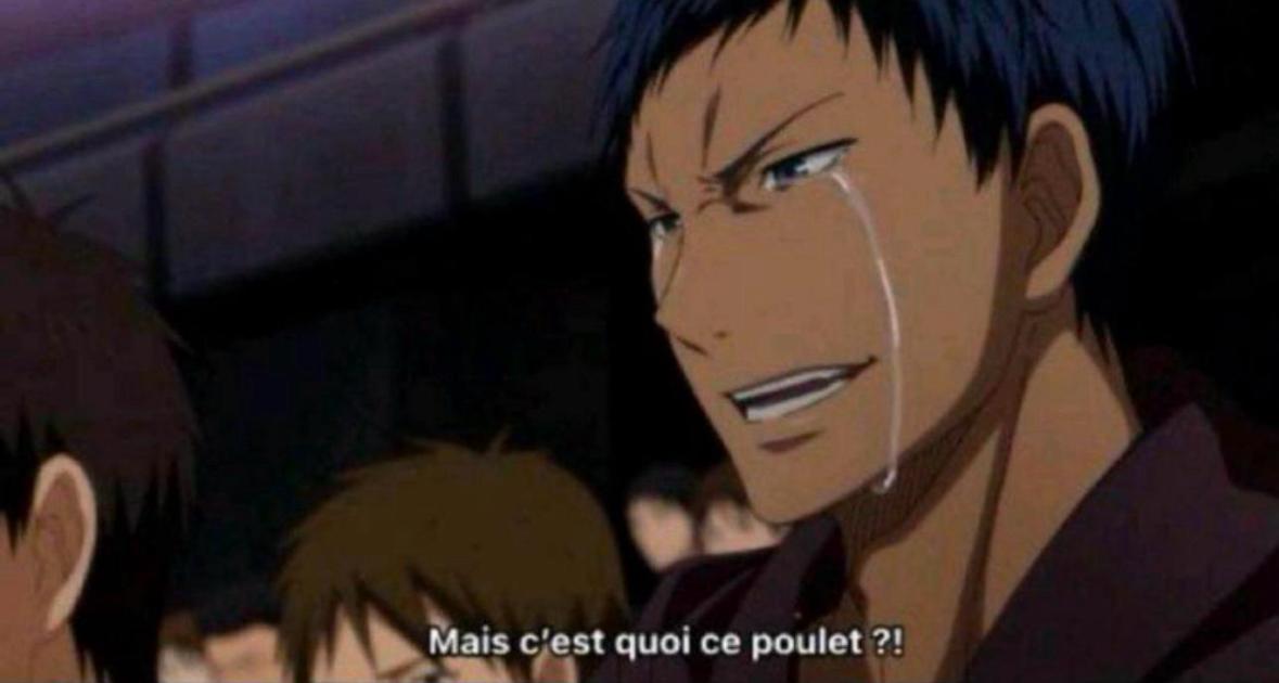 meilleur saison/arc anime