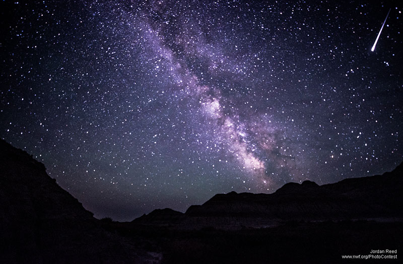 CONSTELLATIONS 