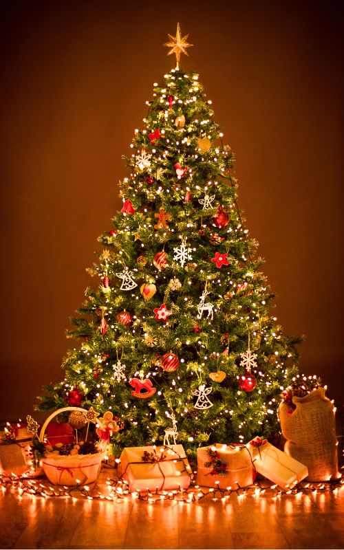 Quel ton Film de Noël préféré ?