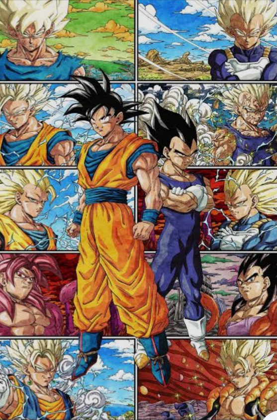 Dragon ball Saiyan Transformations (DB/DBZ/DBD/DBS/DBGT/Movies etc.
