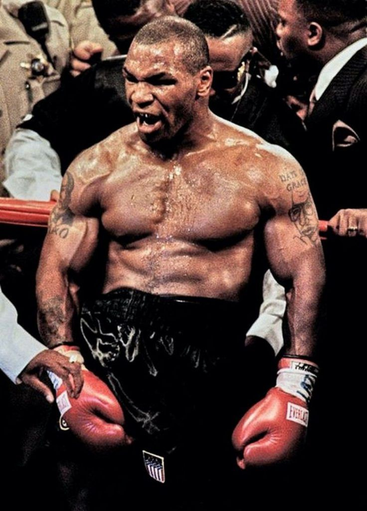 The scariest boxer 