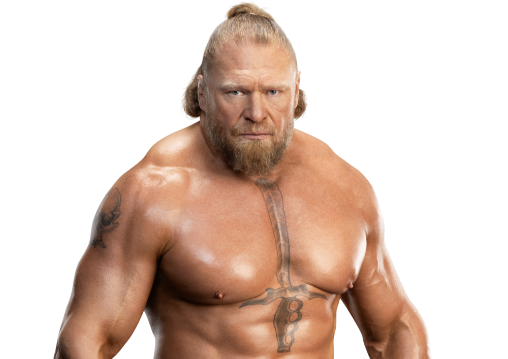 Best Brock Lesnar WWE match since 2012