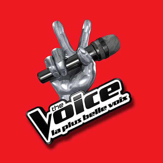 Quel est ton candidat de The voice France préféré ?