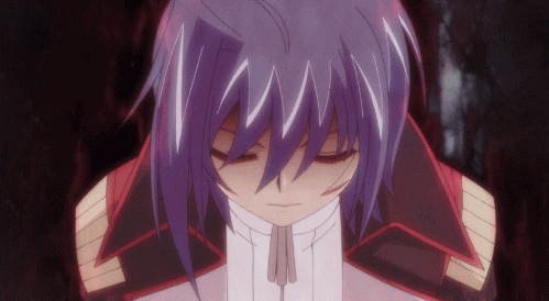 Best Reverse Unit : Cardfight Vanguard