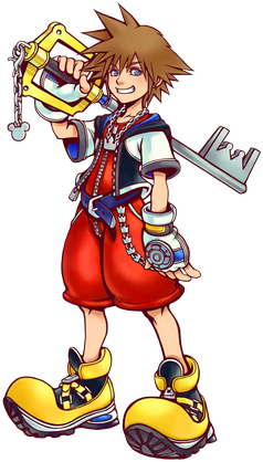 Best Sora's skin