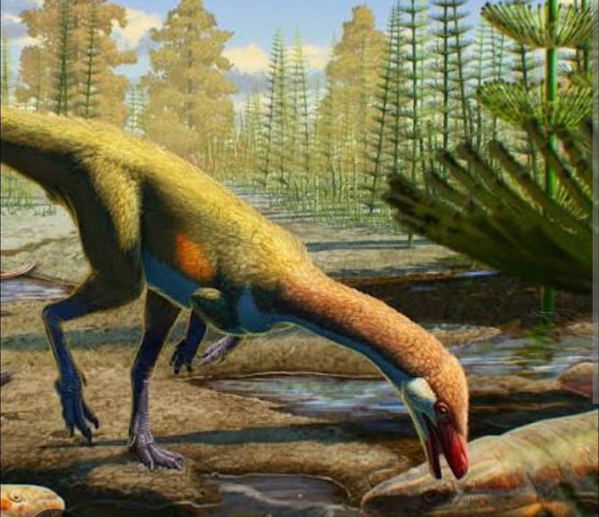 My favorite Dinosaur 