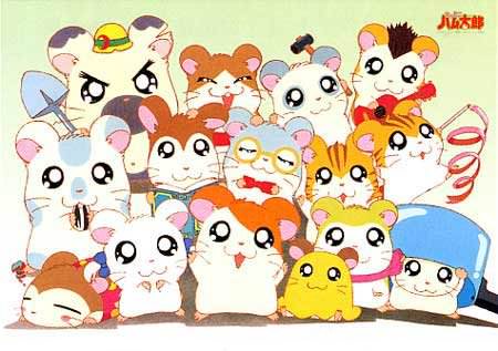 Ham - Ham War