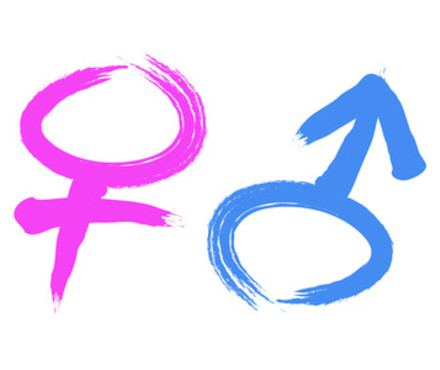Gender