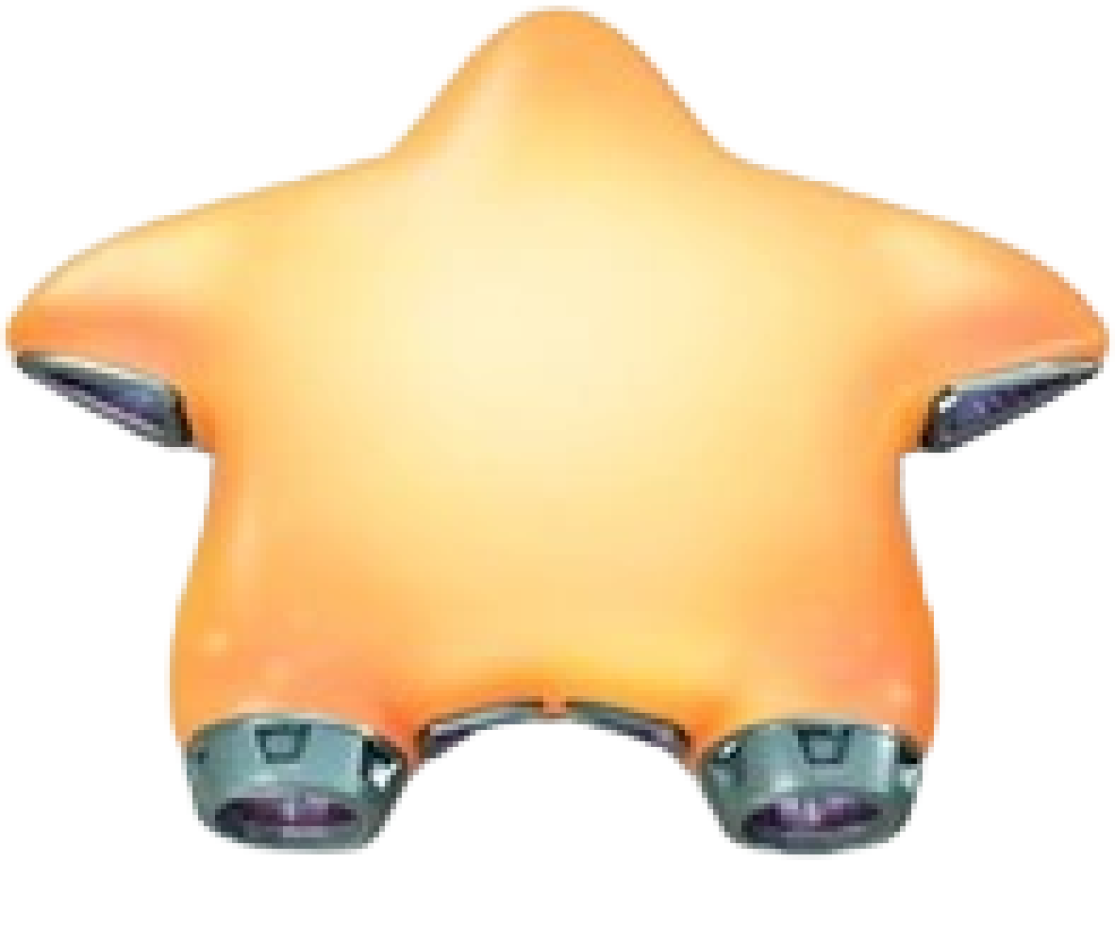 Kirby Air Riders Machines