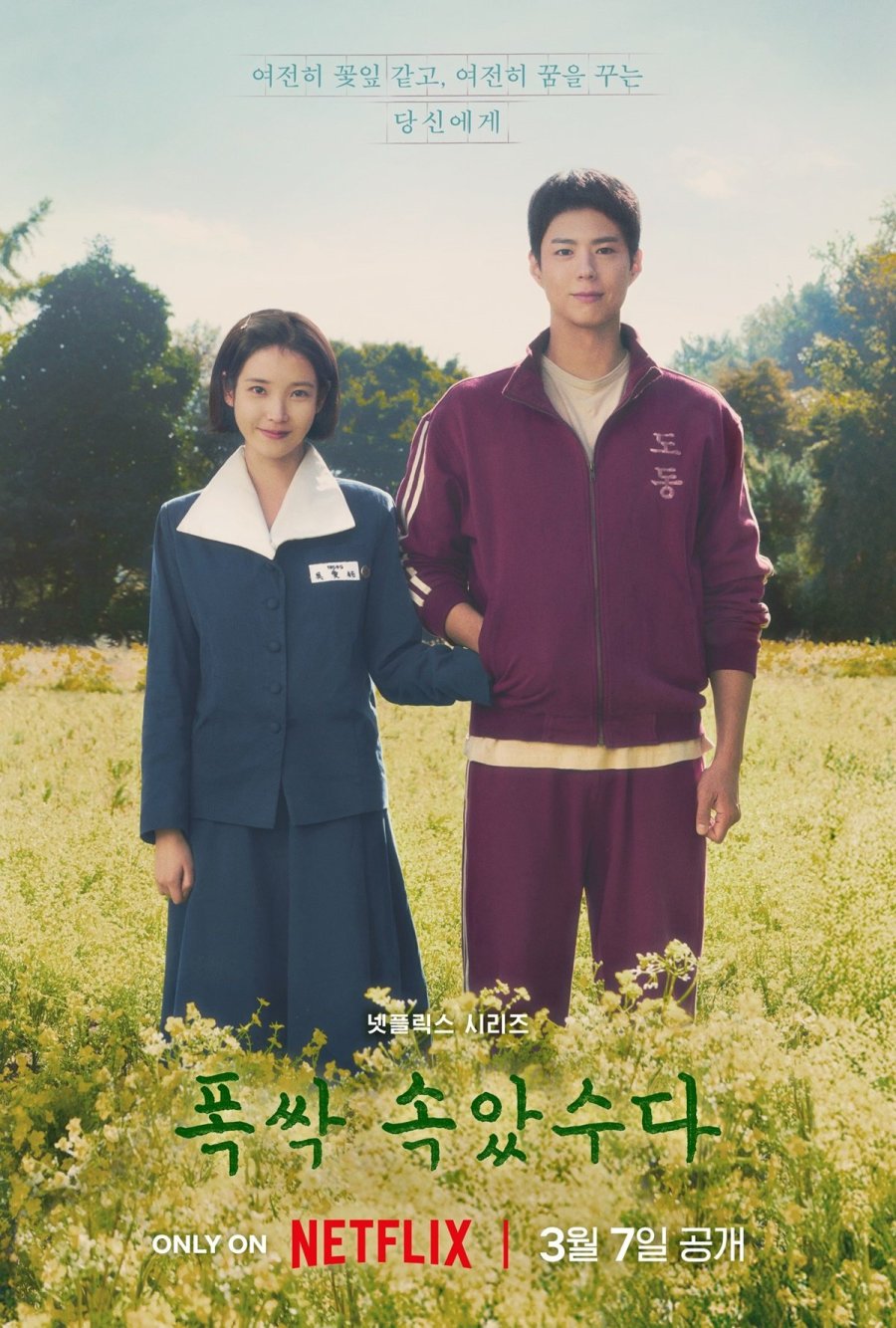 Best Kdrama