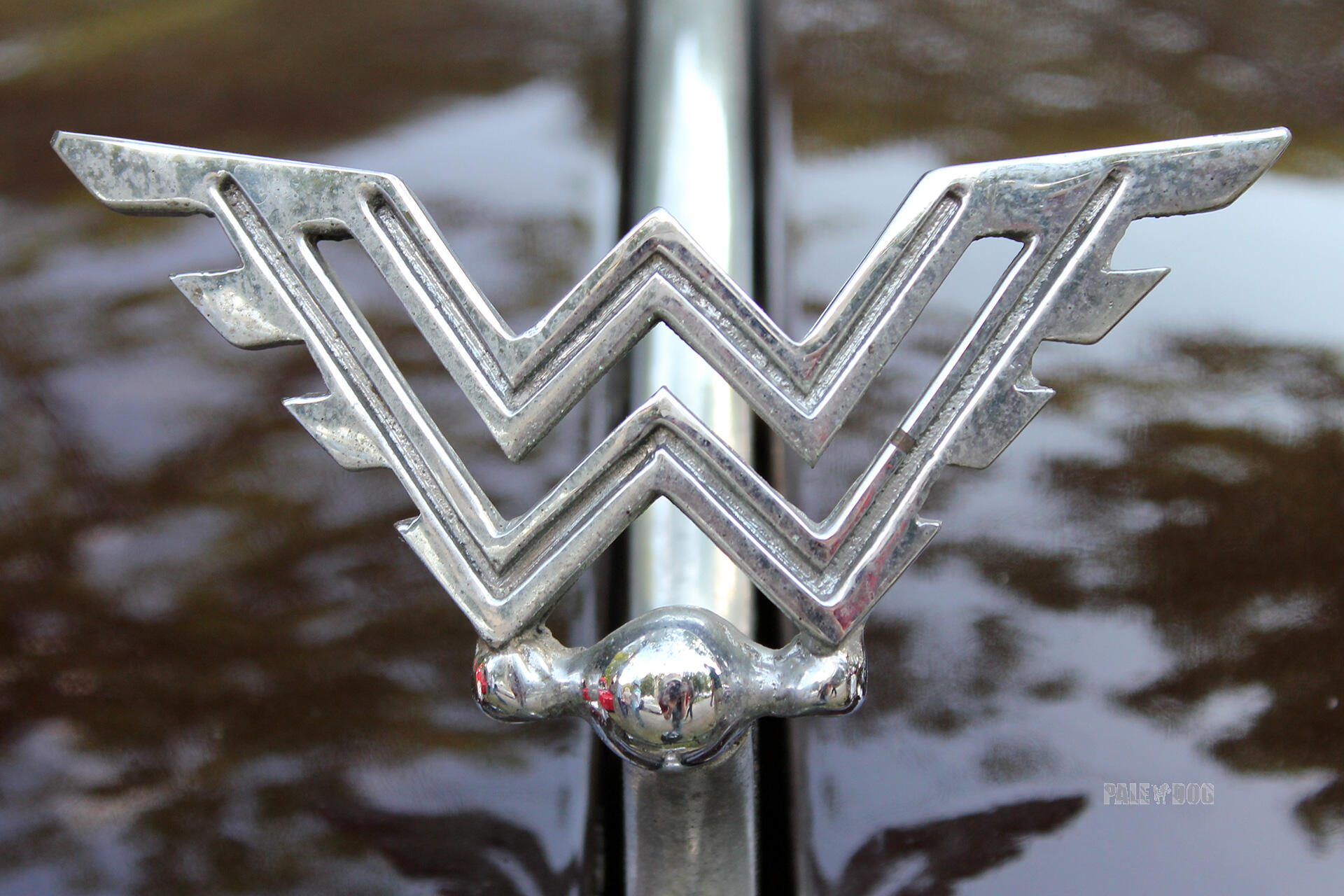Wanderer Cars