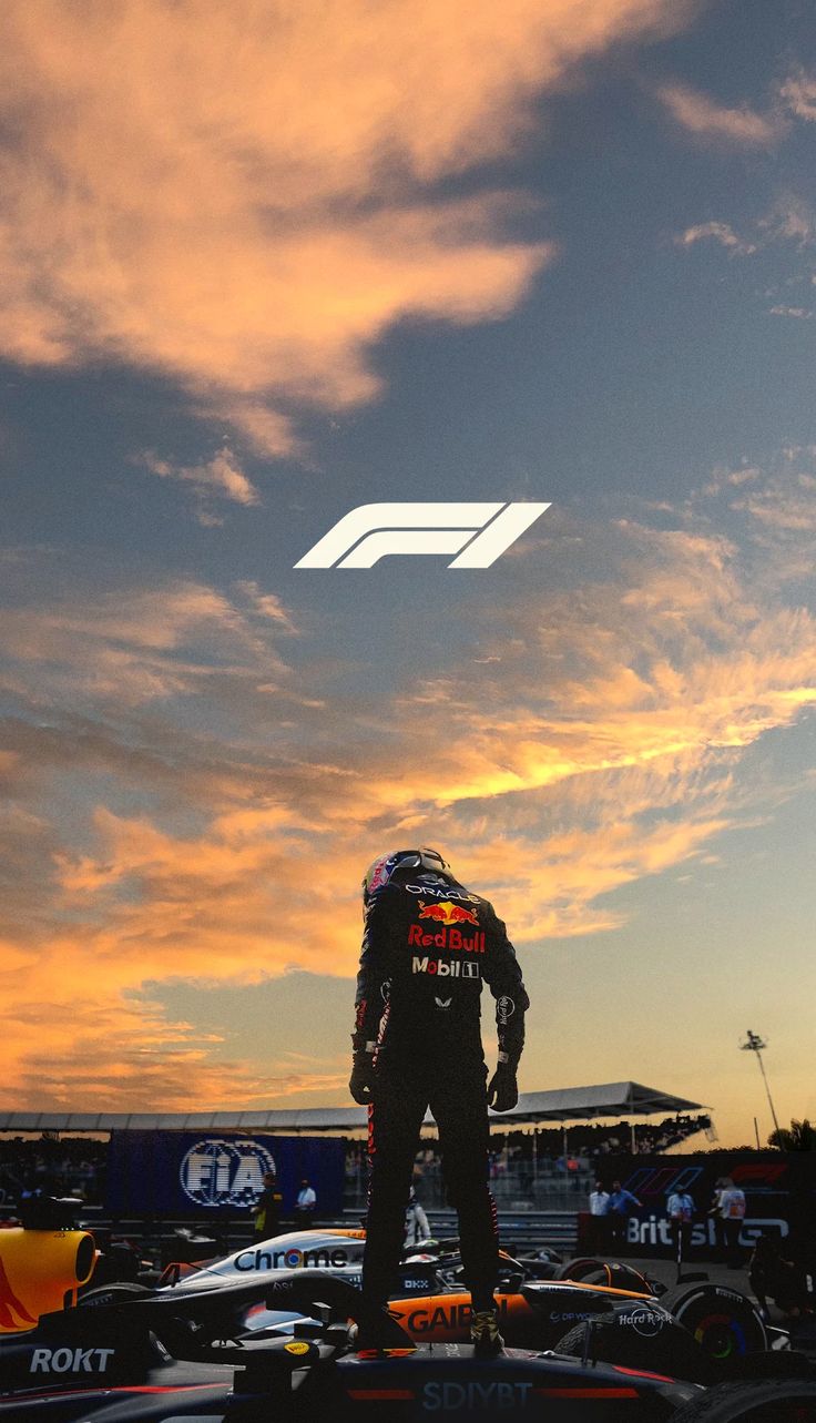 Best F1 driver 2010 -