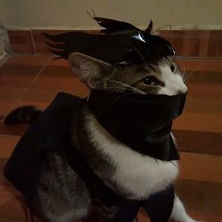 ksywy kub0ssa123