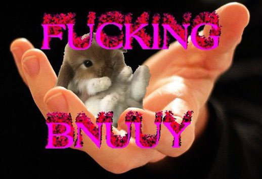 Video Game Bunnies