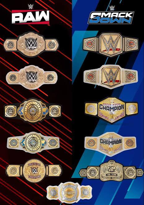 Every wwe champion match defended on 2025