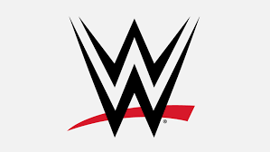 WWE BEST MATCH 2025