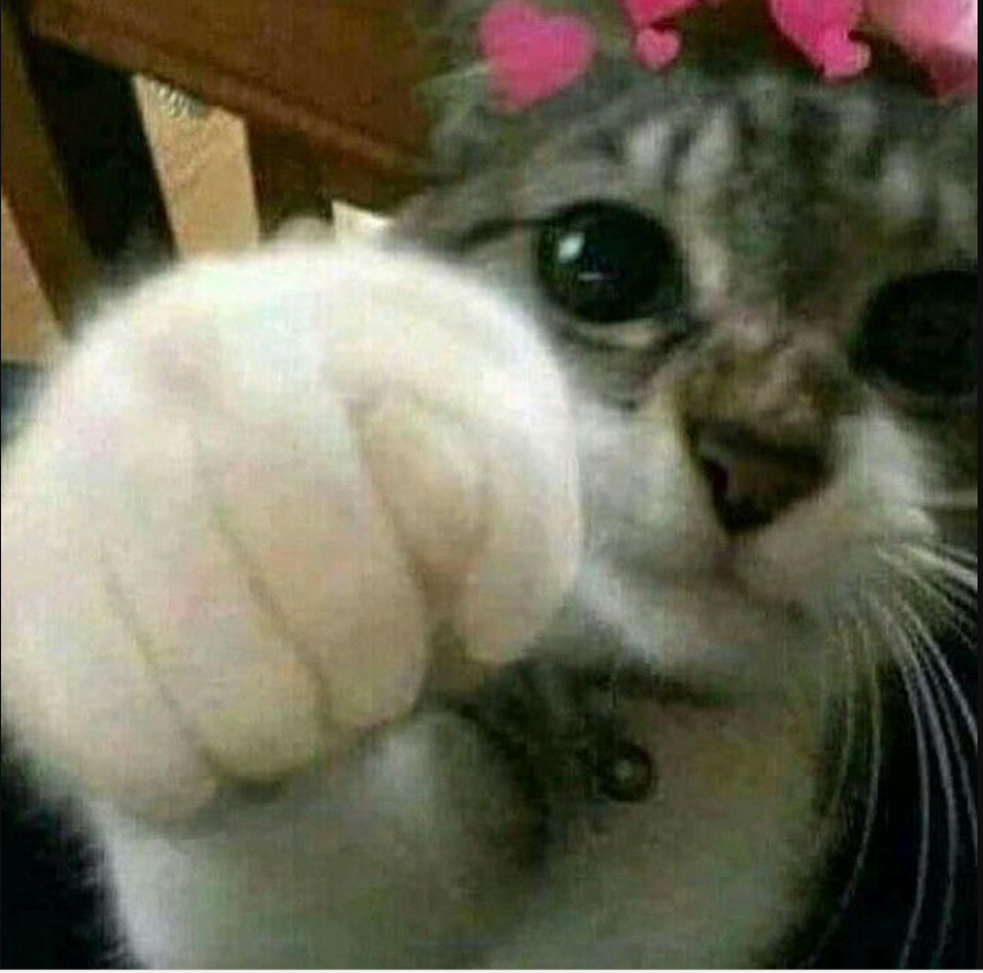 sadece türkiyede yaşanacak olaylar