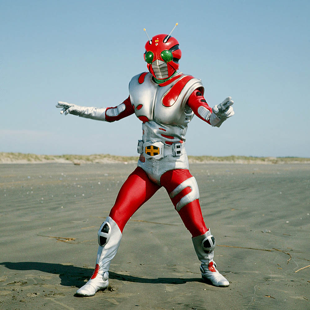 Kamen Rider ZX: Riders and Forms