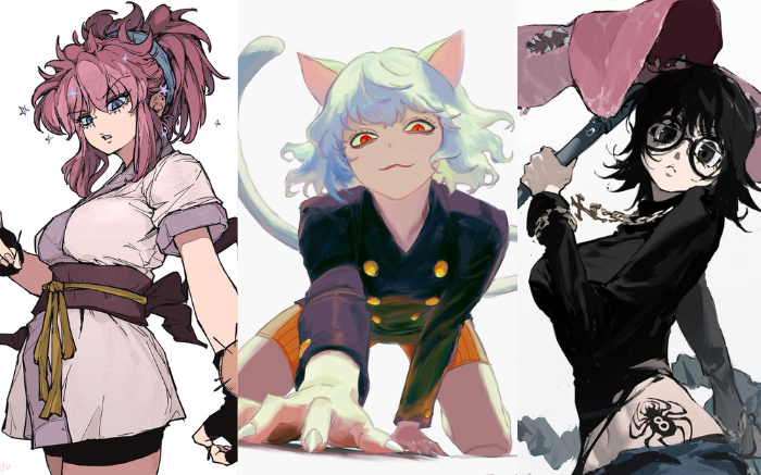 - Hunter x Hunter Best Waifu -