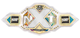 6 Woman Elimination Chamber Match for the Women's NXT Title