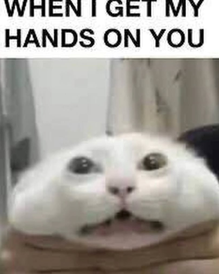Pandas hear me outs