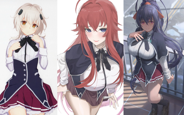- High School DxD Best Waifu -