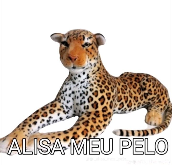 O QUE É MAIS BRABO???