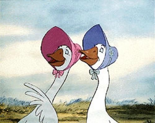 Best duck