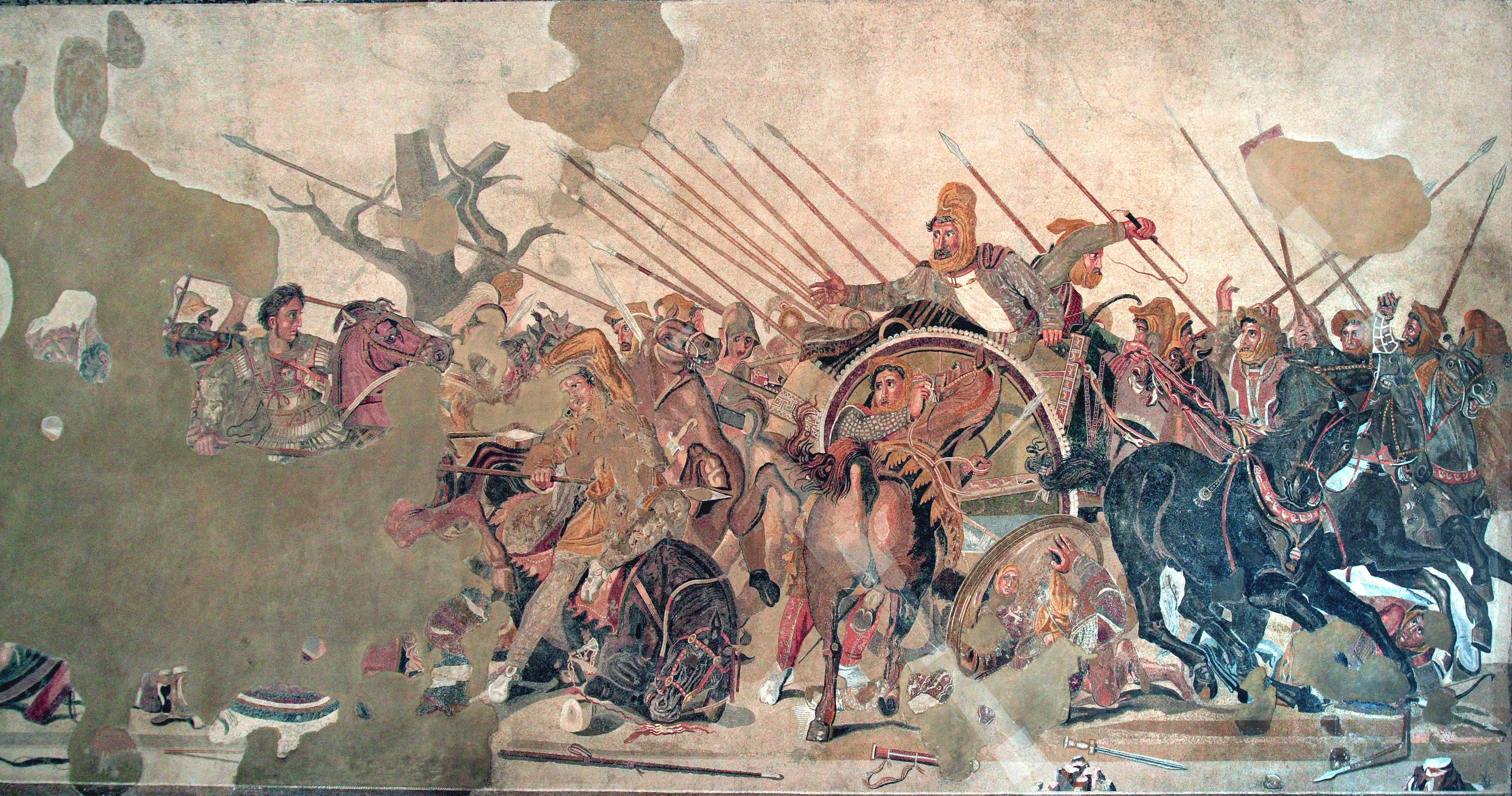 Porcosauro's 100