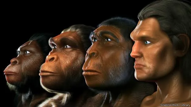 Humans