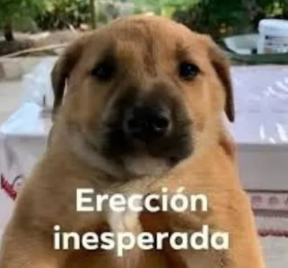 ya me crecio el uwufufu, el uwufufu ya me crecio