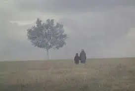 migliori film