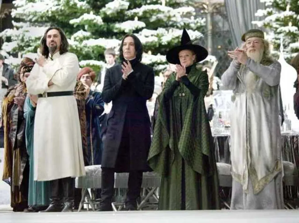 All Best Characters Teachers Hogwarts | Harry Potter