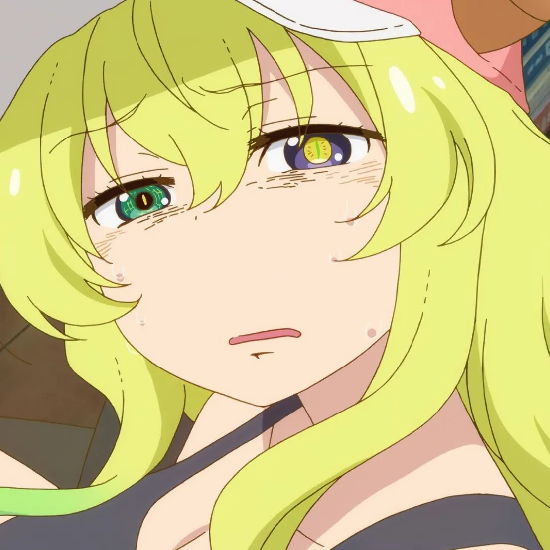 Anime Ladies v1