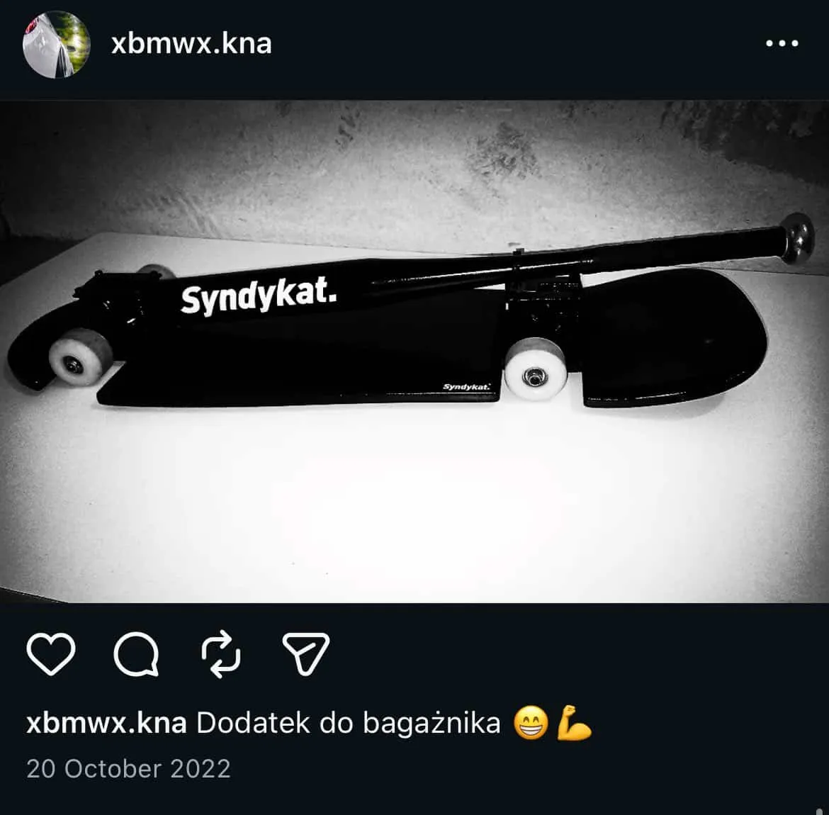 Najlepsza Piosenka Węgorza